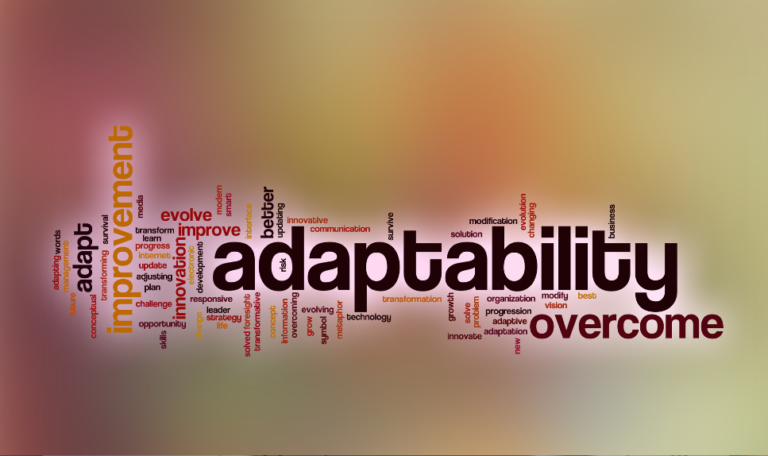 Agility and Adaptability